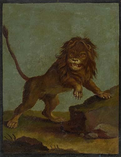 Study of a Lion by Johann Elias Ridinger