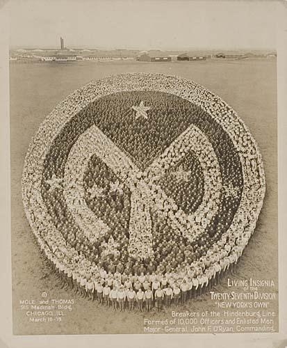 Living Insignia by Arthur Mole, J.D. Thomas, 1919