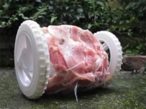 Collision17 - Axiom Center for New and Experimental Media