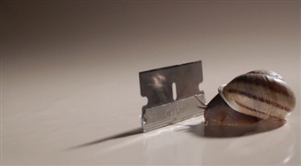 Moving Image 2012 - Moving Image