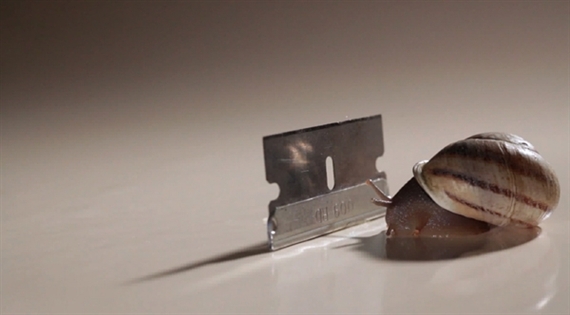 Moving Image 2012 - Moving Image