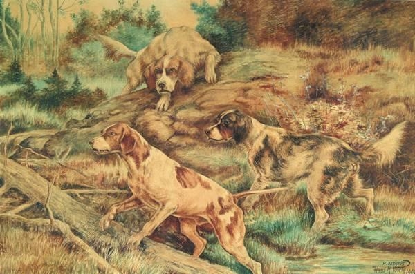 Artwork by Hans H. Volck, Dogs Hunting, Made of watercolor