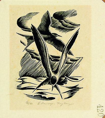 Terns by E. Mervyn Taylor