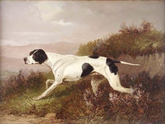 STUDY OF A POINTER IN HEATHER - Colin Graeme Roe