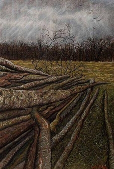 DEAD WOOD - Sam Mateer