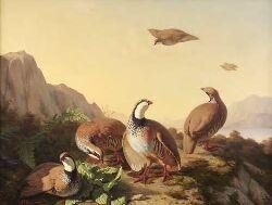 FRENCH PARTRIDGE AT EVENING - Simon Saint-Jean