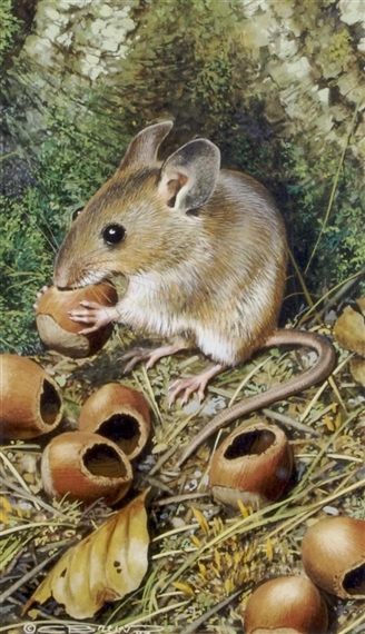 Carl Brenders | A Pair of paintings depicting mice | MutualArt
