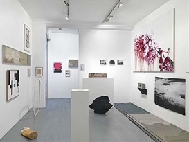 Curator's Egg revisited 18 years on in Altera Pars show at Anthony Reynolds Gallery