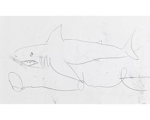 Shark by Damien Hirst, 2007