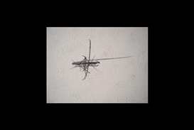 Kit Schulte Contemporary Art opens two solo exhibitions by Linda karshan and Koho Mori-Newton