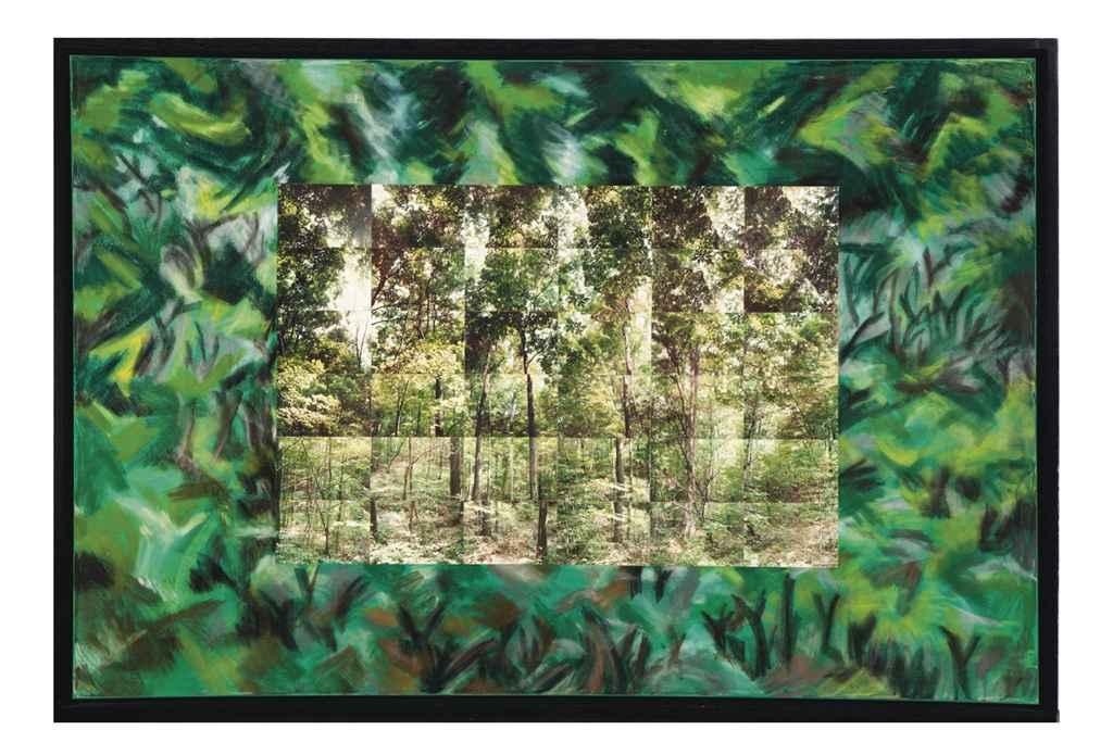 Alan Sonfist | View of the Great Forest Under the Maple (1990) | MutualArt