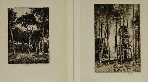 2 works: ''Amongst The Pines''; ''The Wood on The Common'' - George P. Gaskell