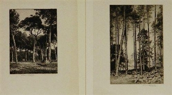 2 works: ''Amongst The Pines''; ''The Wood on The Common'' - George P. Gaskell