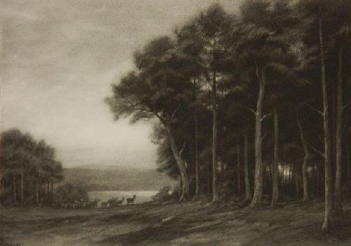 Artwork by George P. Gaskell, The Forest at Twilight, Made of mezzotint on chine colle