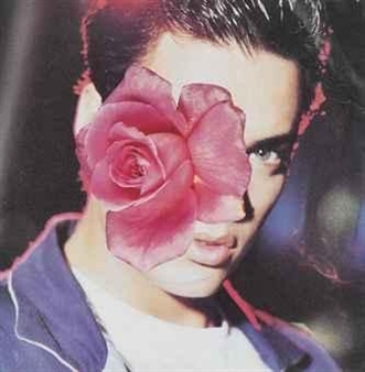 Untitled - Linder Sterling