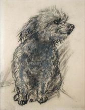 Study of Poppet Louise Ruthven, a Terrier belonging to the Hon. Alison Ruthven, later The Hon. Lady Barran - Val Temple