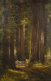 California Redwoods With Sunlit Fence - Charles Theller Wilson