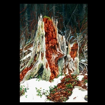 Its Just About....." - Robert MacGinnis