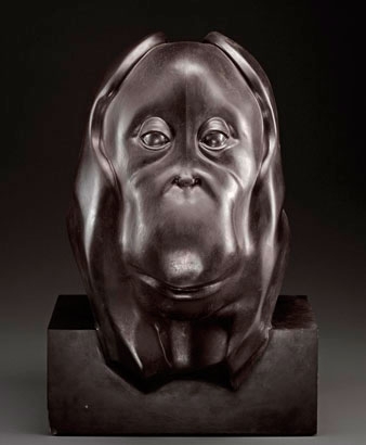 Animal Beauty - Grand Palais Paris