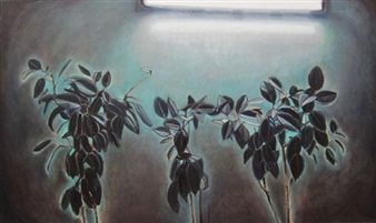 Talia Israeli & Kobi Assaf: Flatland - A Romance in Many Dimensions  - Gallery 39 for Contemporary Art