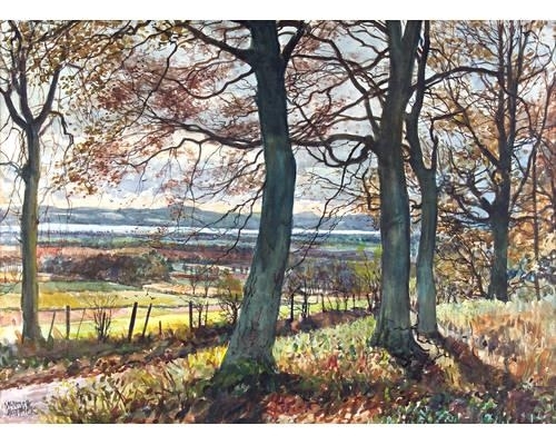The Dron Road by James McIntosh Patrick‏