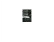 Justin Cole: Suite Sixteen and Tocqueville Photograms - Pepin Moore