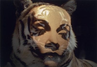 Ohne Titel - Karl Heinz Koller