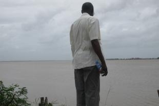 Sara Blokland: Butterflies don't exist  - LMAKgallery 