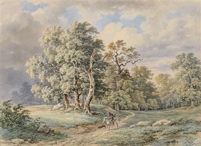 Aufziehendes Gewitter über einem Eichenwald