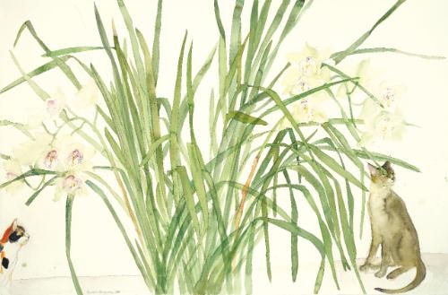 Artwork by Elizabeth Blackadder, Cats and Orchids, Made of watercolour over pencil