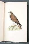 A History of British Birds by Francis Orpen Morris, 1865