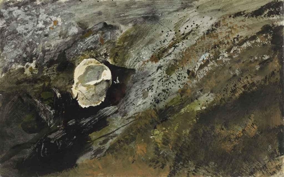 Inland Shell by Andrew Wyeth, 1957