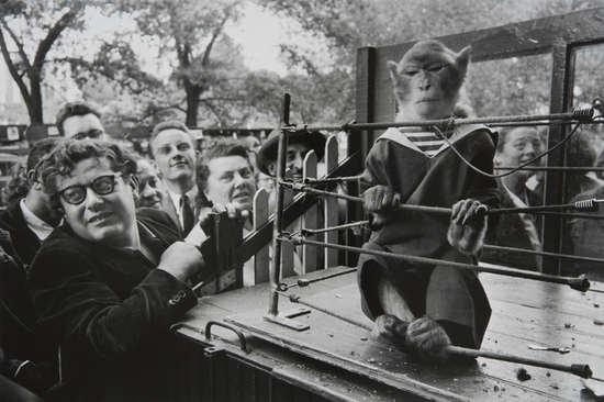 Les Animaux Supérieurs by Robert Doisneau, 1954