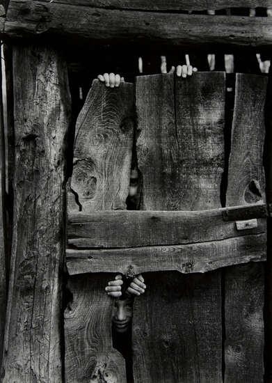 Artwork by Stefano Robino, Luca e Armando, Made of gelatin silver print