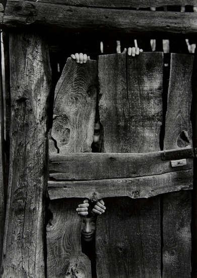 Luca e Armando by Stefano Robino, 1955-1960