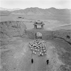 French Photo Fest Flourishes in Beijing