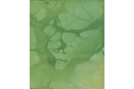 Solo exhibition of new photographs by James Welling opens at The Donald Young Gallery