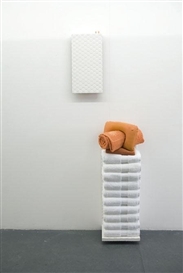 Florian Roithmayr 