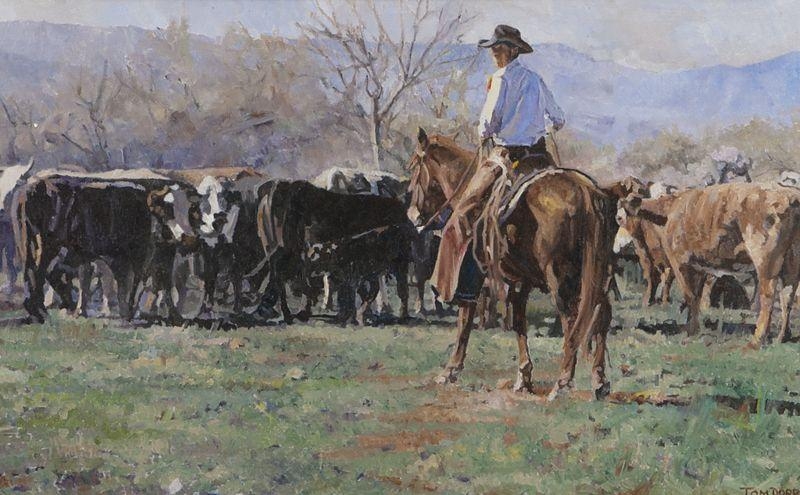 Tom Dorr | Arizona Cowboy | MutualArt