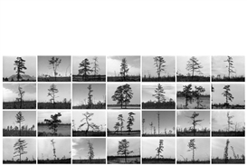 First UK solo exhibition of American artist Nancy Holt opens at Haunch of Venison