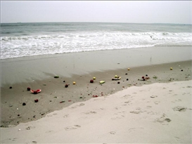 Ellen Jong: The Invisible Line