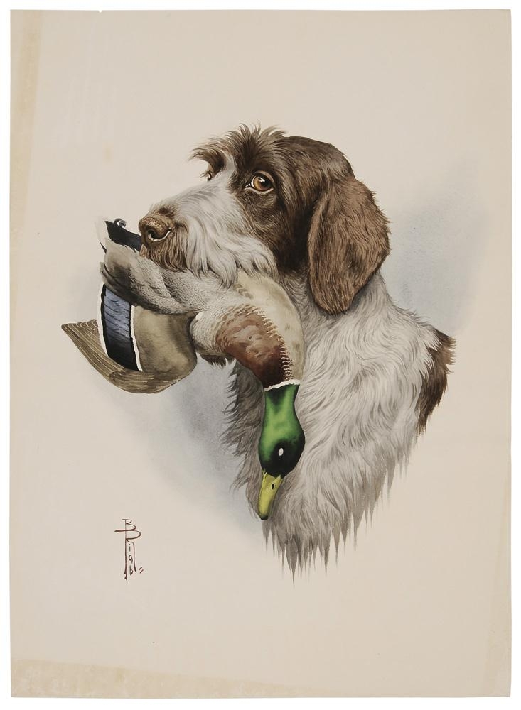 Boris Riab | Portrait of a Wirehaired Pointing Griffon with Duck ...