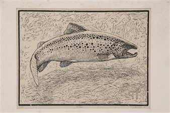 Big Brown (trout) - T. Prochacla