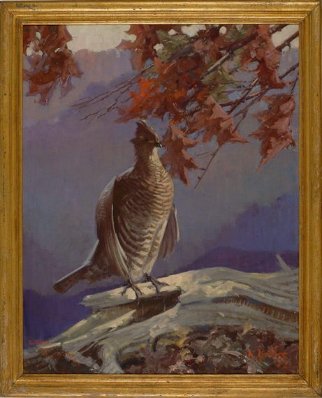 Portrait of a ruffed grouse by Reginald F. Bolles