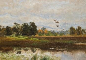 Landskap med lyftande gräsänder