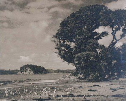 George Chance | Paihai Beach, North Auckland | MutualArt