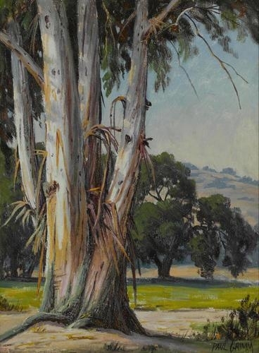 Eucalyptus, Griffith park