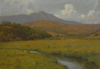 Wildflowers along a stream beneath Mount Tamalpais by William Barr