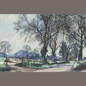 The Leys near Tullybachart