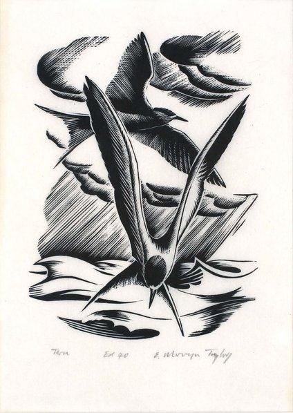 Tern by E. Mervyn Taylor